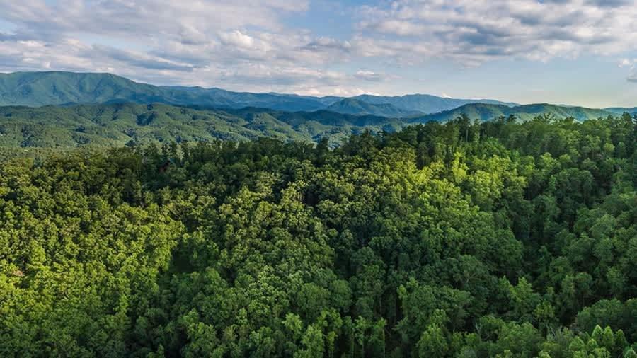 View! Private! Hot Tub,Pool Table,Fireplace,Relax! Sevierville Extérieur photo